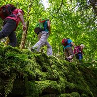Wandern auf Wald- und Wiesenpfaden