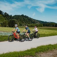 Radtour am Donauradweg Gemüsefeld Pupping Eferding
