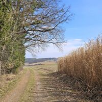 Landschaft