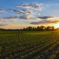 Besonders schön ist die Stimmung bei untergehender Sonne
