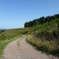 Entlang der Deponie