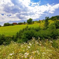 Wanderung für alle Sinne - Rettenbachklamm (c) Graz Tourismus - Harry Schiffer (78).jpg