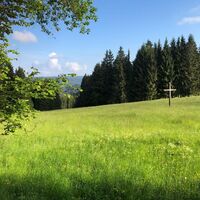 Hirtenwiese