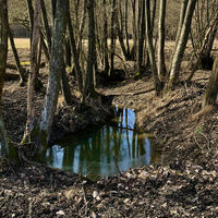 Bachlauf