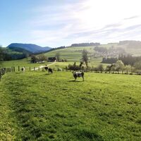 Ausblick vom Hundsberg, Naturpark Almenland in der Oststeiermark