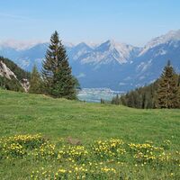 Zimmermoss Brixlegg © Wildschönau Tourismus  