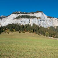 Höhenweg Foppa - Scheia - Fidaz - Flims