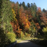 Wandern im Herbst