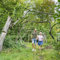 Doras Garten