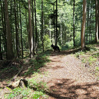 [ M.te Sciober grande ] Zurück den Weg 511 entlang