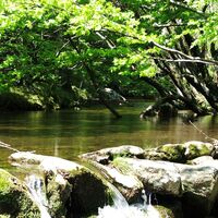 Wanderung der Banissous0039 @CDRP34