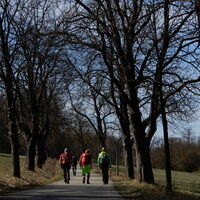 Hütteldorf - Lainzer Tiergarten - Liesing