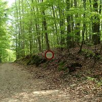 Aufstieg am Weltkulturerbe-Steig-Wachau