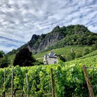 Weinberge Rhöndorf