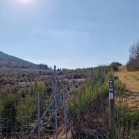 Klippenweg, BestWeg Andreasberg