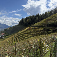 Alpenbogen A151 Sankt Walburg im Ultental - Meran