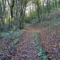 Abstieg Richtung Freundorf zum Kreuzwegbeginn