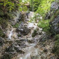 Scheffau_Rehbachklamm_Wilder Kaiser