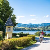 Längsee