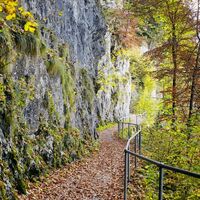 Felsenweg auf dem Bürgenstock im Herbst