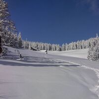 Sommerwiese mit Sommerhütte.