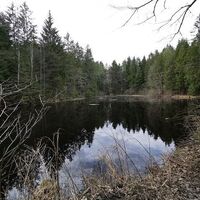 Schwarzes Teichtl