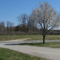 Kreuzung Güterweg/L1014