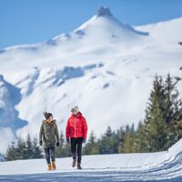 Winterwandern am Flumserberg
