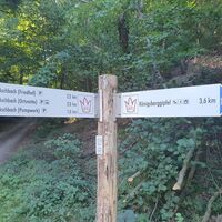 Waldlehr - und Erlebnispfad - Wegweisung