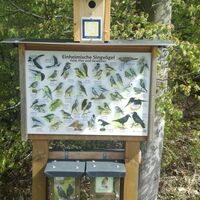 Liesenfelder Jakobusweg Schautafel Singvögel