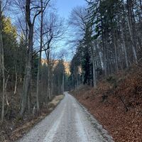 Auf Höhe der Autobahnreste Alland dann rechts rauf ins Hanefbachtal. Das Rauschen des Autobahnverkehrs ist hier schlagartig weg.