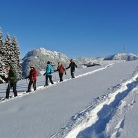 Schneeschuhwandern am Reither Kogel