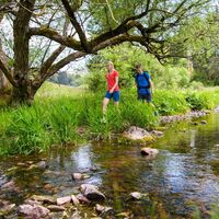 Finsterbachtal Oberschönauer Felsenwanderung