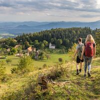 Dorf Gozd oberhalb von Tržič