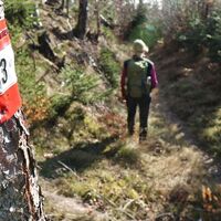 Markierung am Hohlweg