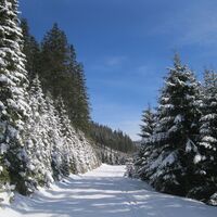 Wechsel-Panoramaloipe