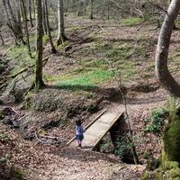 Kind auf der Holzbrücke