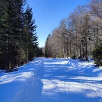 Piste (Straße) nach Waldhäuser