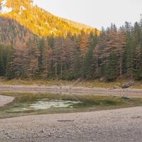 Grüner See im Herbst