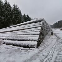 Nassholzlager am alten Fußballplatz Nuttlar