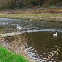 Die Lahn bei Aumenau