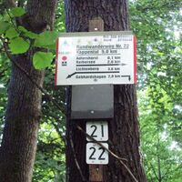 Salzgitter Höhenzug, Wanderwege 21 und 22 Aufstieg zum Kammweg