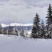 Ausblick auf die Seckauer Alpen