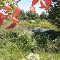 Aubiet - Werk "La Nourrice" von Oliver Nattes