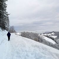 Winterpanorama Sommeralm_Naturpark Almenland_Oststeiermark