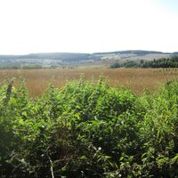 Aussichtspunkt