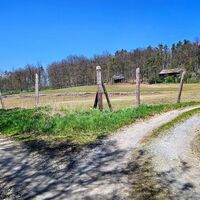 Wildgehege mit Damwild rechts oben