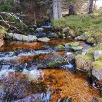 Zulauf zum Schwarzenbach