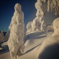Tykkyä auf dem Vuokatinvaara, Vuokatti