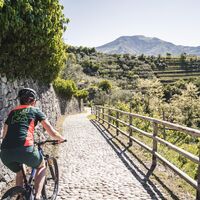 Strada del Pil zwischen den Terrassen von Tenno